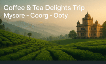Coffee & Tea Delights Trip