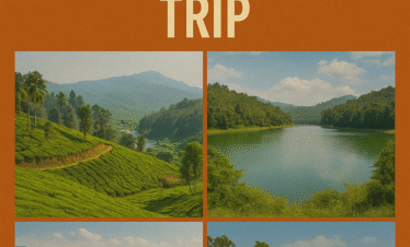 Hills of Kerala Trip