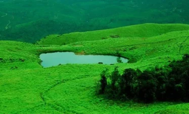 Whispering Nature Trip